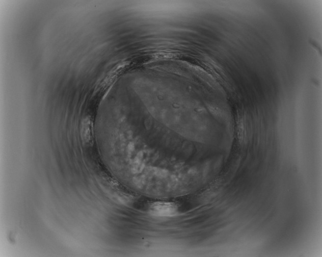 X0000103140169200809051622