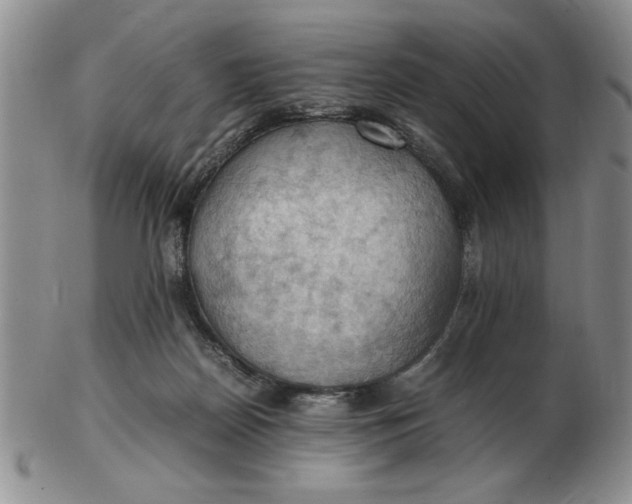 X0000103140170200809051623