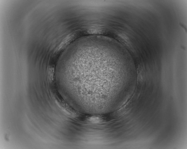 X0000103140171200809051623