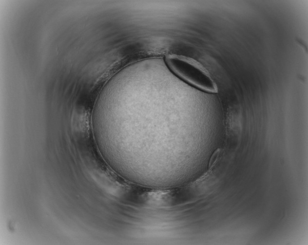 X0000103140172200809051623