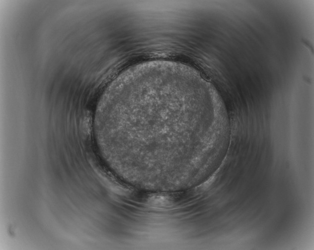 X0000103140174200809051623