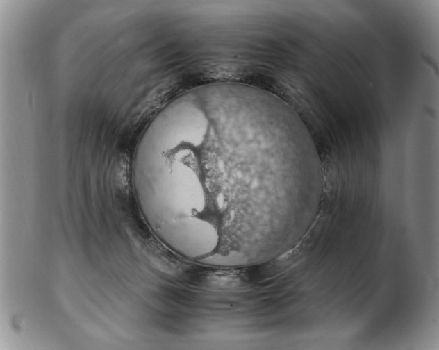 X0000103140175200809051623