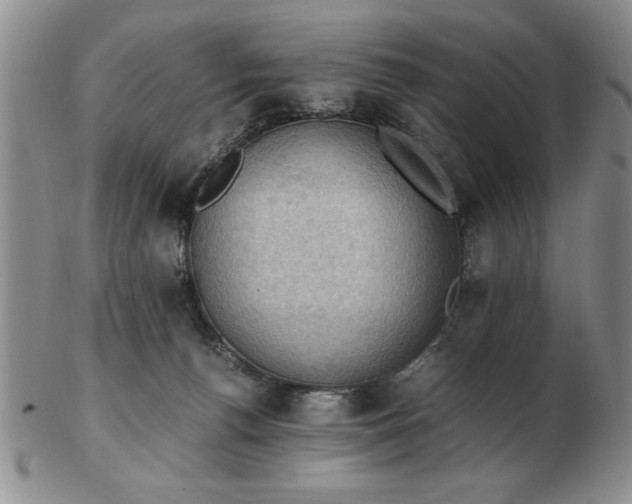 X0000103140176200809051623