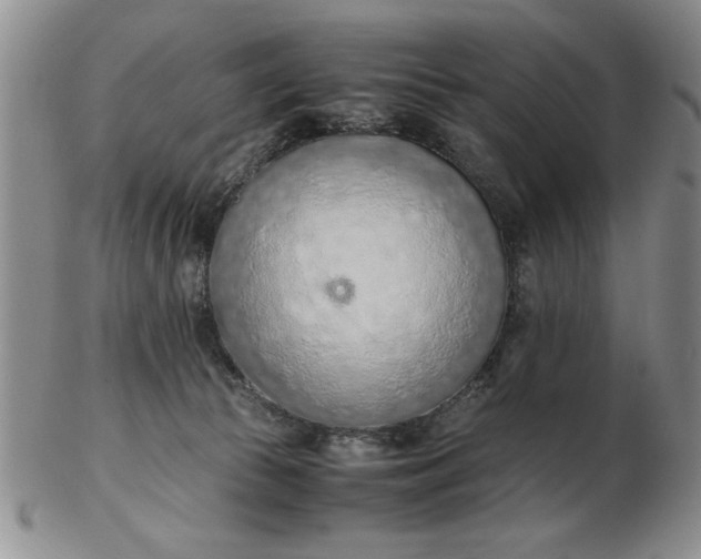 X0000103140177200809051623