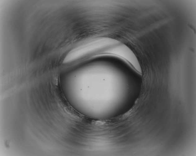 X0000103140180200809051623