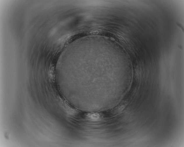 X0000103140181200809051623