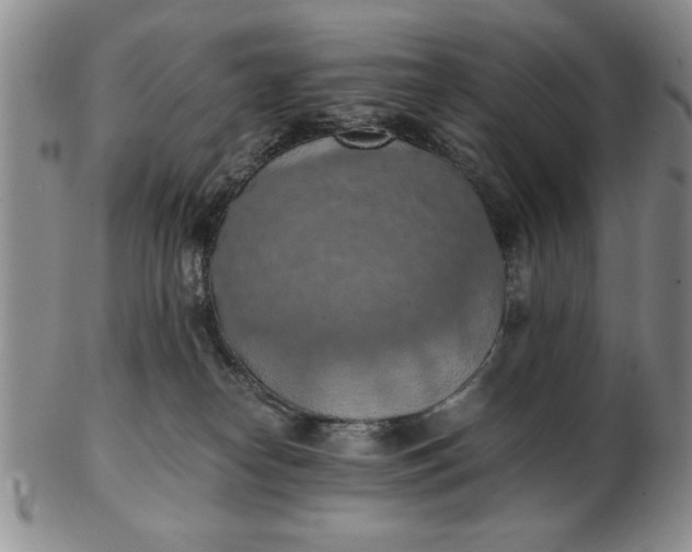 X0000103140182200809051623