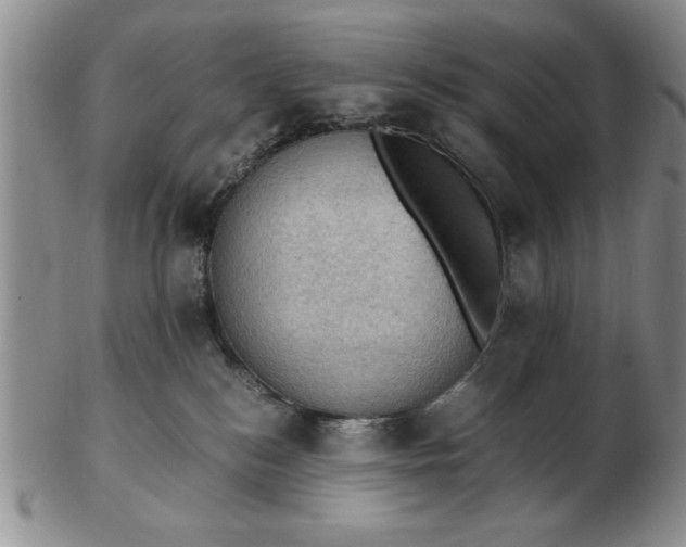 X0000103140184200809051623