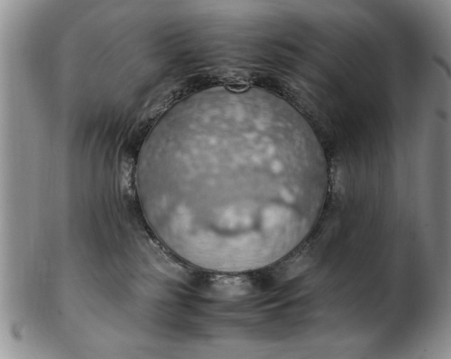 X0000103140185200809051623