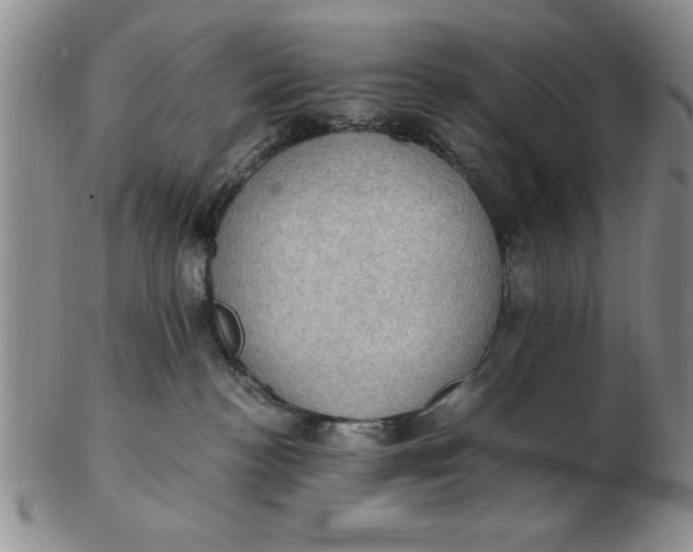 X0000103140188200809051623