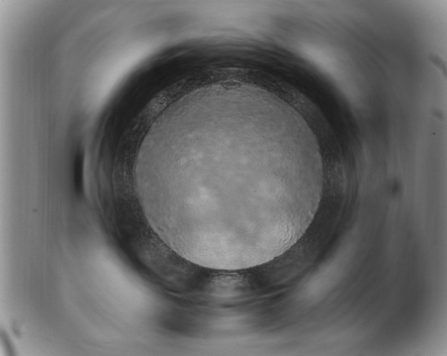 X0000103140189200809051623