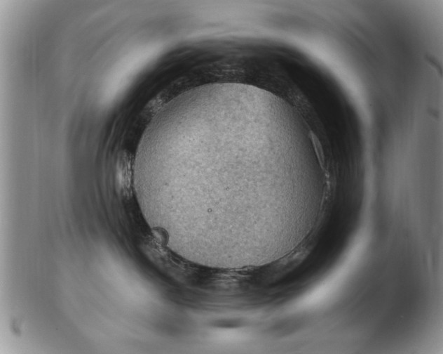 X0000103140190200809051623