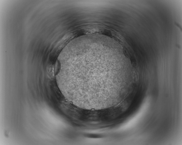 X0000103140191200809051623