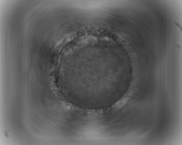 X0000103140192200809051623