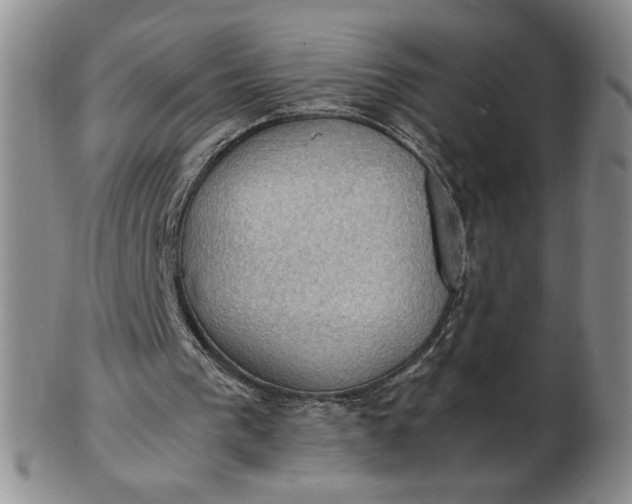 X0000103140193200809051622