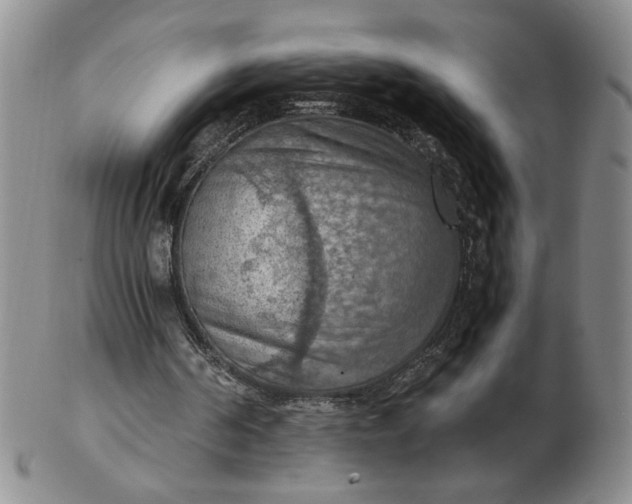 X0000103140194200809051622