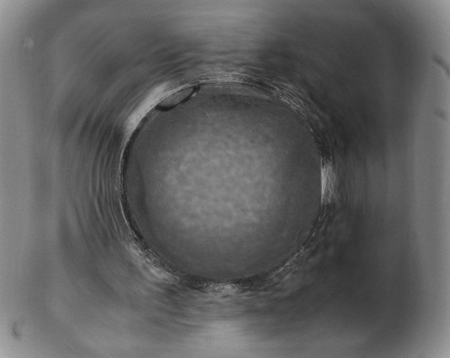 X0000103140195200809051622