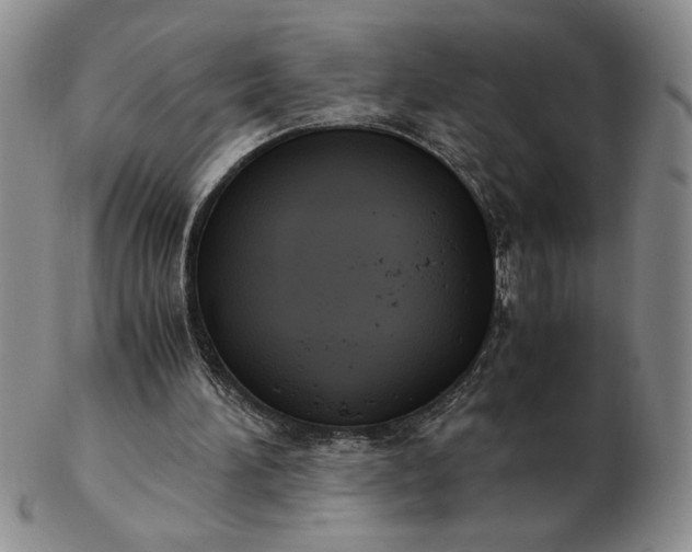 X0000103140196200809051622