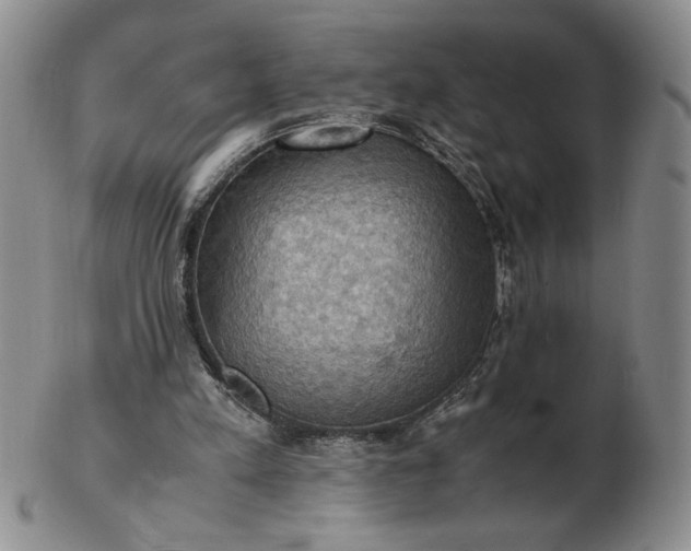 X0000103140197200809051622