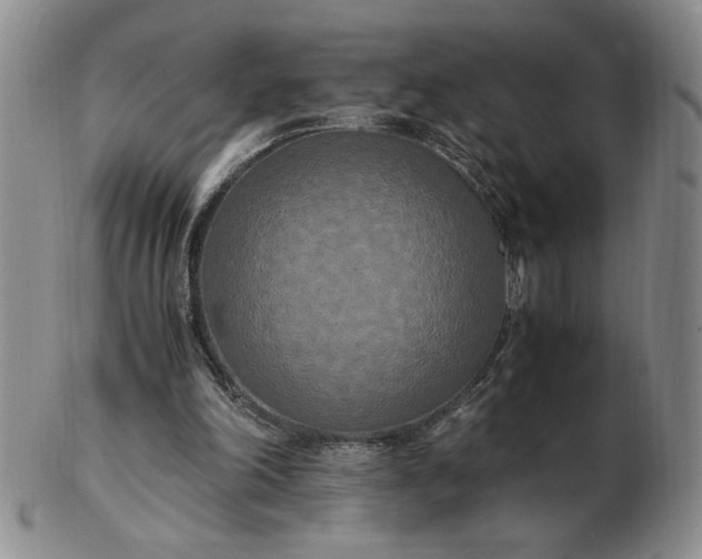 X0000103140198200809051622