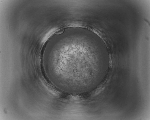 X0000103140199200809051622