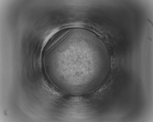 X0000103140200200809051622