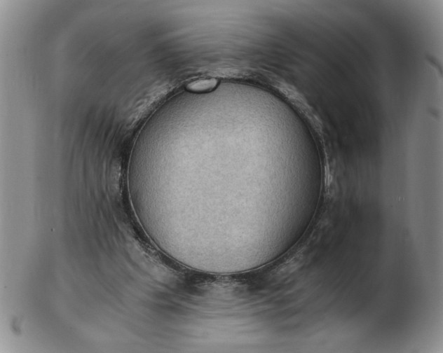 X0000103140201200809051622