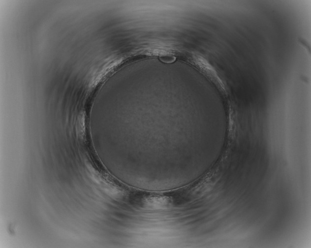 X0000103140202200809051622