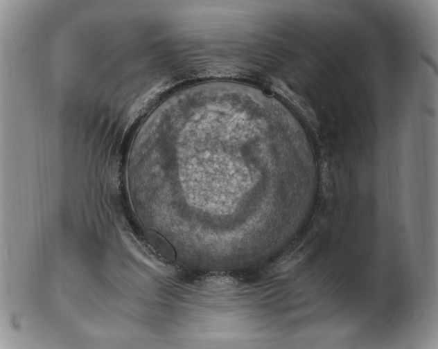 X0000103140203200809051622