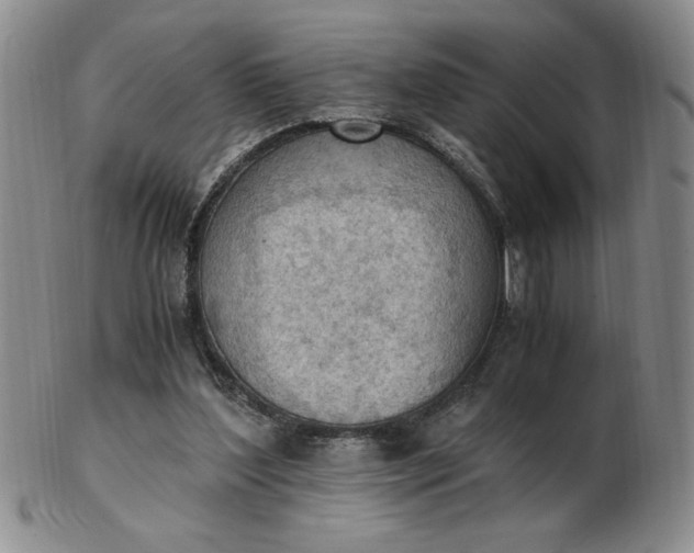 X0000103140204200809051622