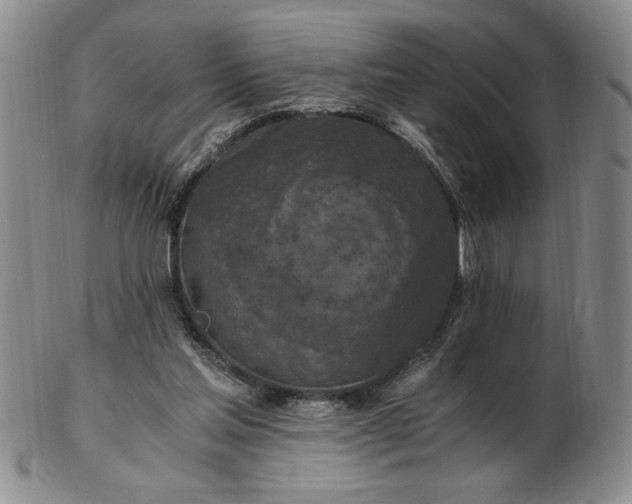 X0000103140205200809051622