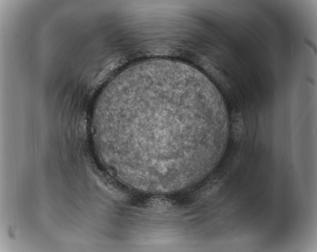 X0000103140207200809051622