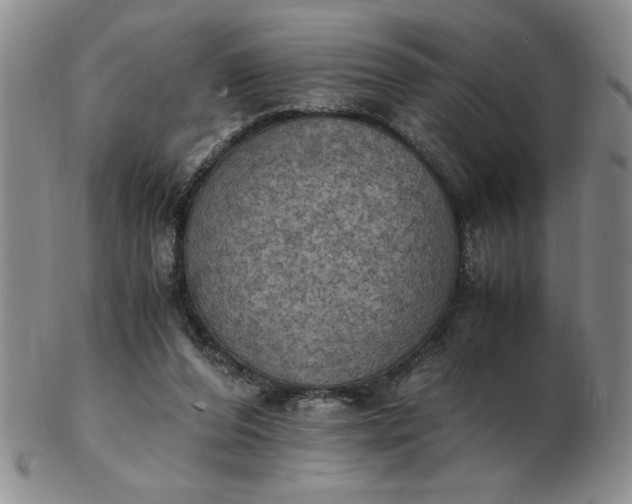 X0000103140208200809051622