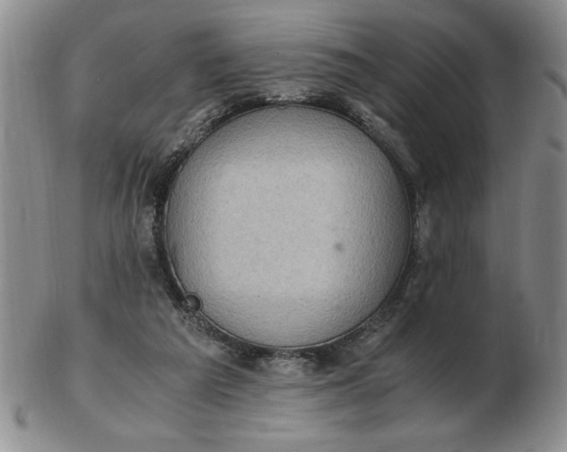 X0000103140209200809051622