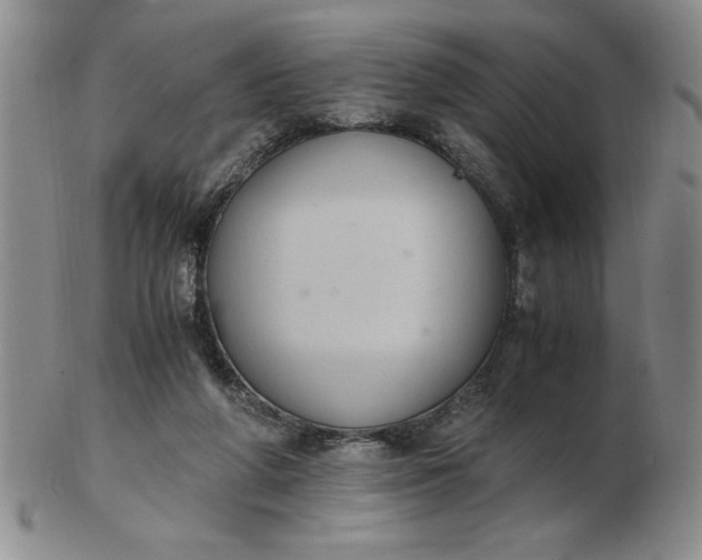 X0000103140210200809051622