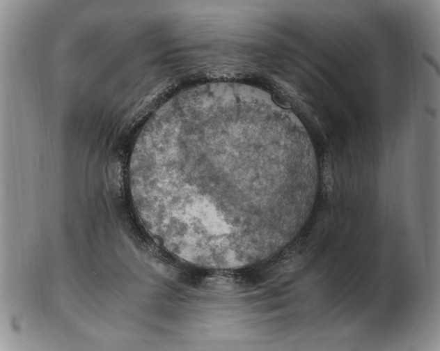 X0000103140211200809051622