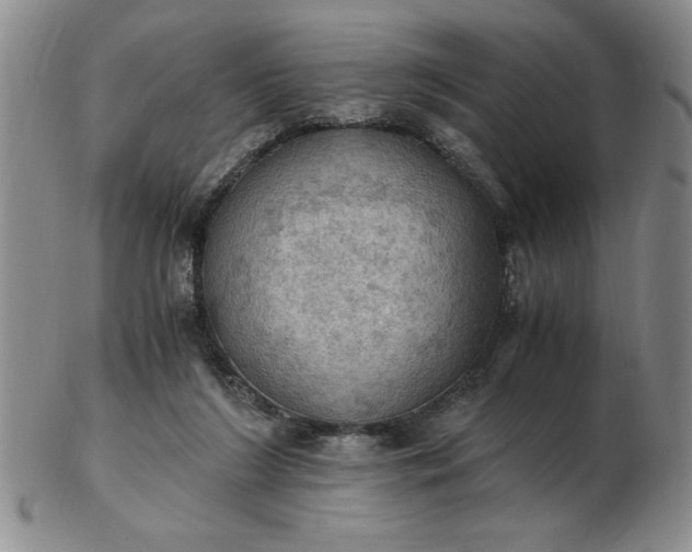 X0000103140212200809051622