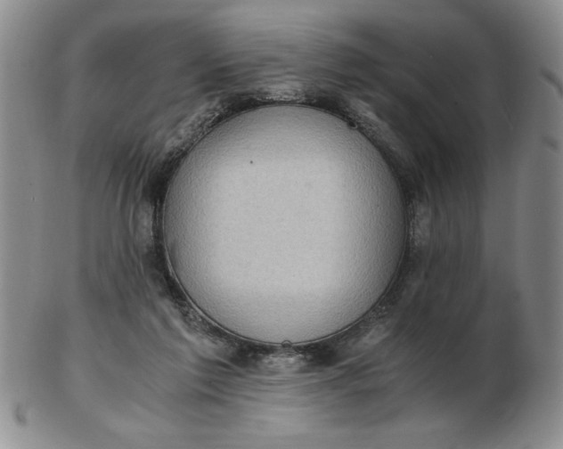 X0000103140213200809051622