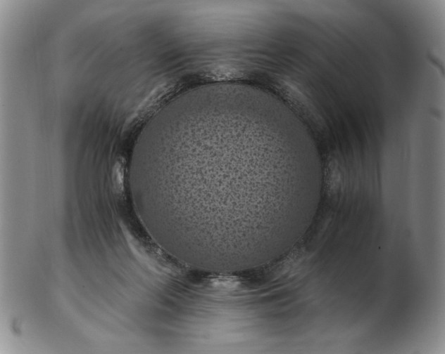 X0000103140214200809051622