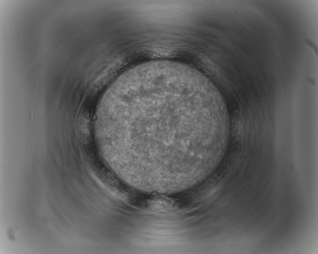 X0000103140215200809051622