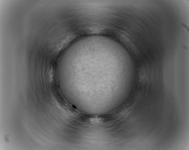 X0000103140216200809051622