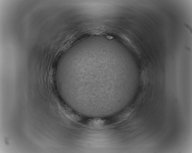 X0000103140217200809051622