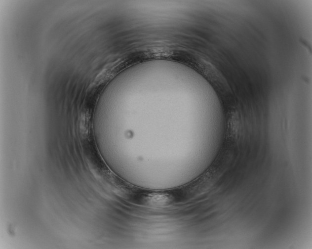 X0000103140218200809051622