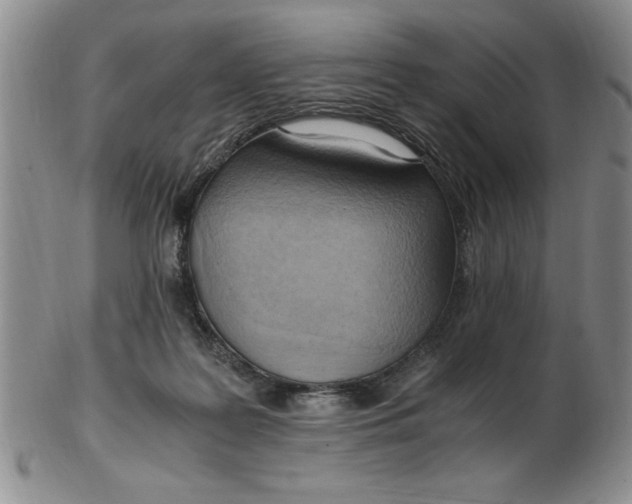 X0000103140219200809051622