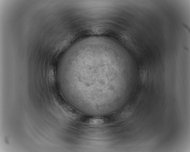 X0000103140220200809051622