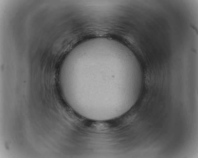 X0000103140221200809051622