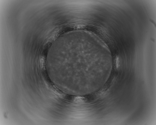 X0000103140222200809051622