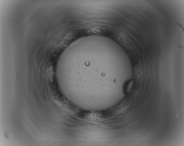 X0000103140223200809051622