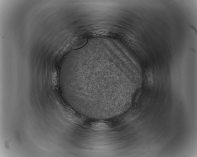 X0000103140224200809051622