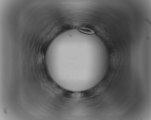 X0000103140225200809051622